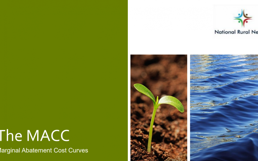 The MACC (Marginal Abatement Cost Curves)