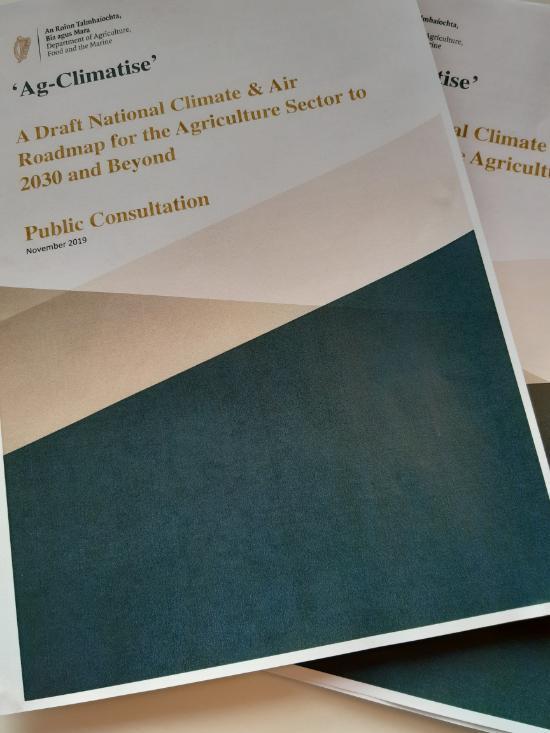 Climate Action Consultation