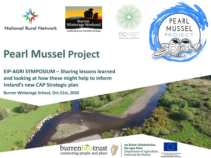 Pearl Mussel Project