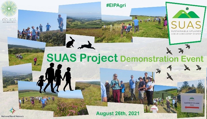 SUAS Project 