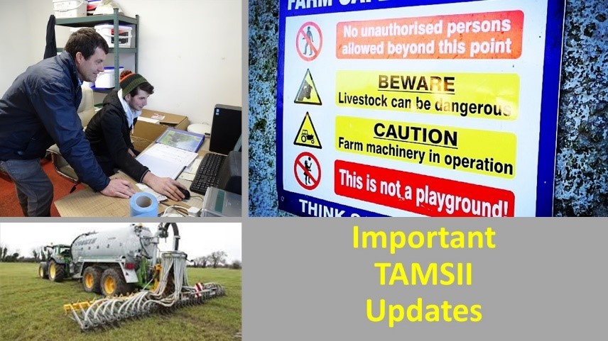 TAMS II Updates