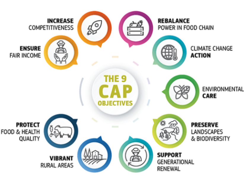 CAP Strategic Plan 