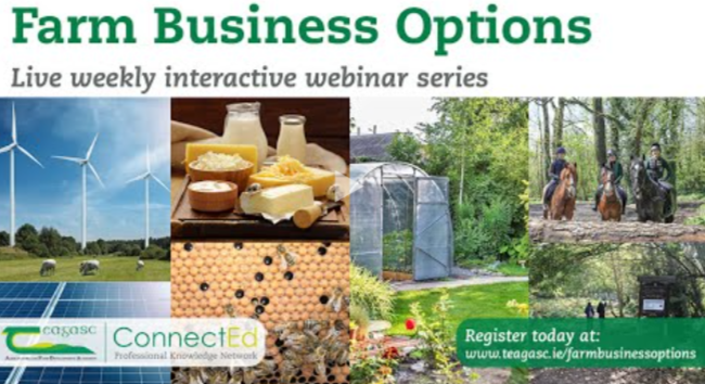 Farm Business Innovation and Diversification