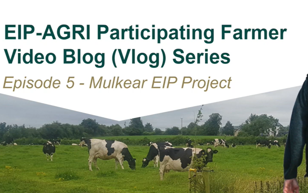 New Series (Episode 6): EIP-AGRI Participating Farmer Video Blog Series – Farming Rathcroghan Project