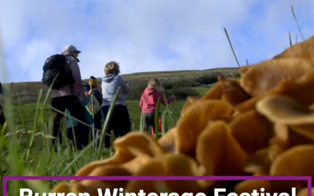 Burren Winterage School EIP-AGRI Symposium 2021 Videos