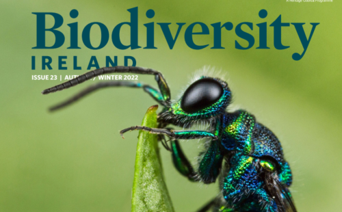 Biodiversity Ireland Magazine