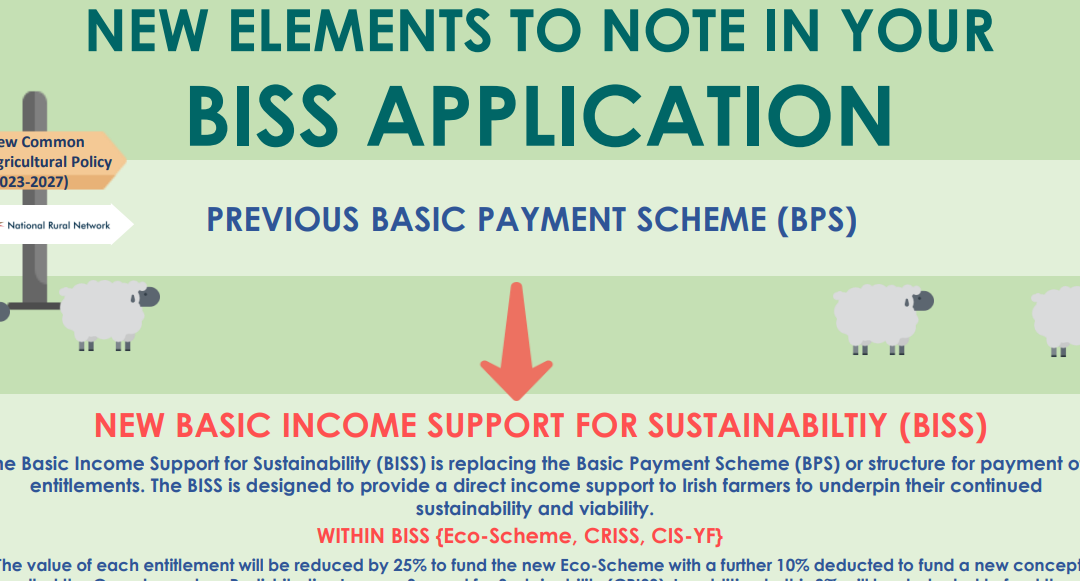A Guide to the Basic Income Support Scheme (BISS)