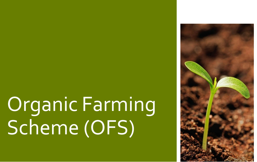 Organic Farming Scheme (OFS)
